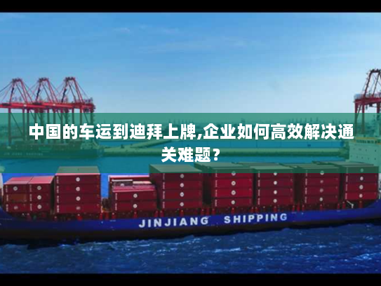 中国的车运到迪拜上牌,企业如何高效解决通关难题? 中国的车运到迪拜上牌,企业如何高效解决通关难题?