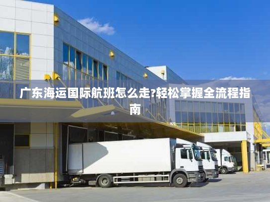 广东海运国际航班怎么走?轻松掌握全流程指南 广东海运国际航班怎么走?轻松掌握全流程指南