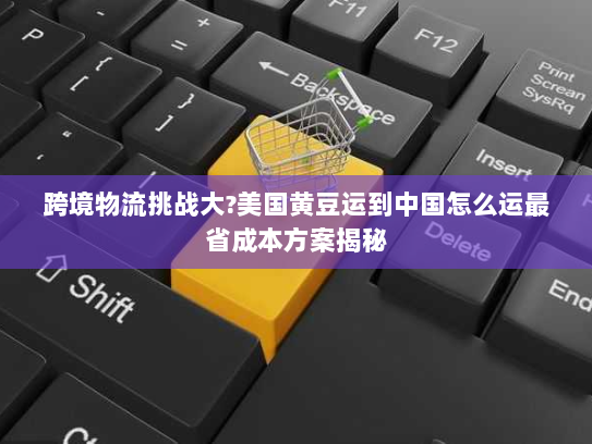 跨境物流挑战大?美国黄豆运到中国怎么运最省成本方案揭秘 跨境物流挑战大?美国黄豆运到中国怎么运最省成本方案揭秘