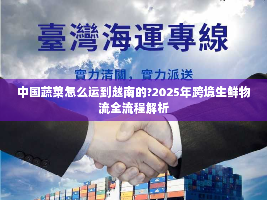 中国蔬菜怎么运到越南的?2025年跨境生鲜物流全流程解析