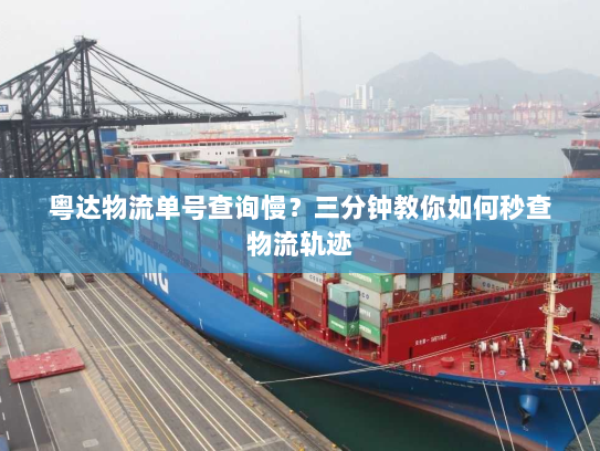 粤达物流单号查询慢?三分钟教你如何秒查物流轨迹 粤达物流单号查询慢?三分钟教你如何秒查物流轨迹