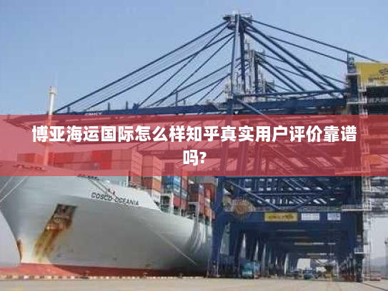 博亚海运国际怎么样知乎真实用户评价靠谱吗?
