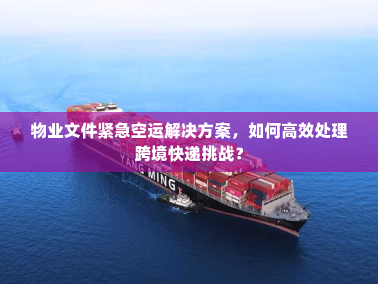 物业文件紧急空运解决方案，如何高效处理跨境快递挑战？