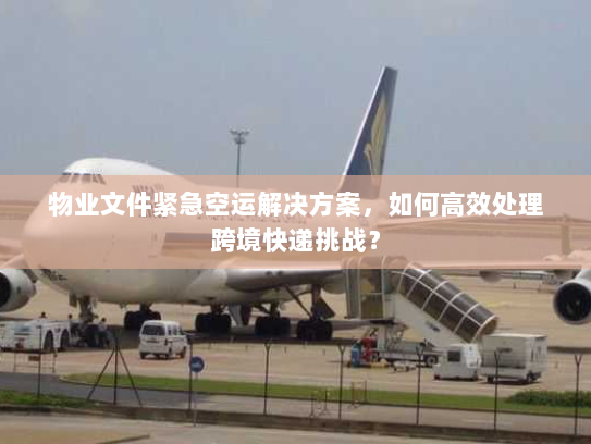 物业文件紧急空运解决方案，如何高效处理跨境快递挑战？