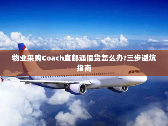 物业采购Coach直邮遇假货怎么办?三步避坑指南 物业采购Coach直邮遇假货怎么办?三步避坑指南