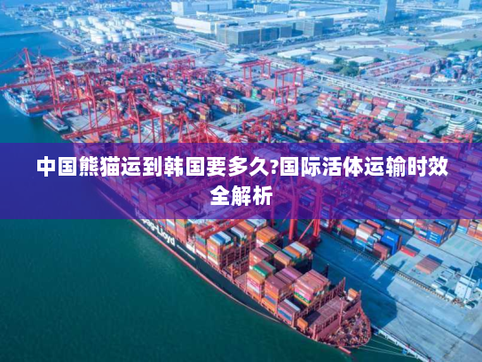 中国熊猫运到韩国要多久?国际活体运输时效全解析 中国熊猫运到韩国要多久?国际活体运输时效全解析