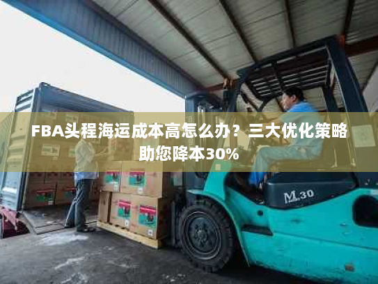FBA头程海运成本高怎么办?三大优化策略助您降本30% FBA头程海运成本高怎么办?三大优化策略助您降本30%