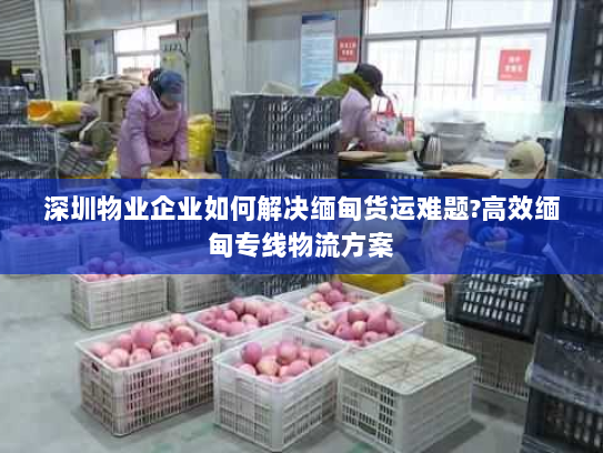 深圳物业企业如何解决缅甸货运难题?高效缅甸专线物流方案