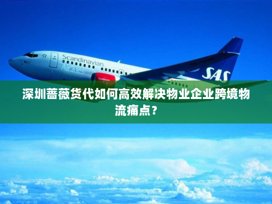 深圳蔷薇货代如何高效解决物业企业跨境物流痛点？