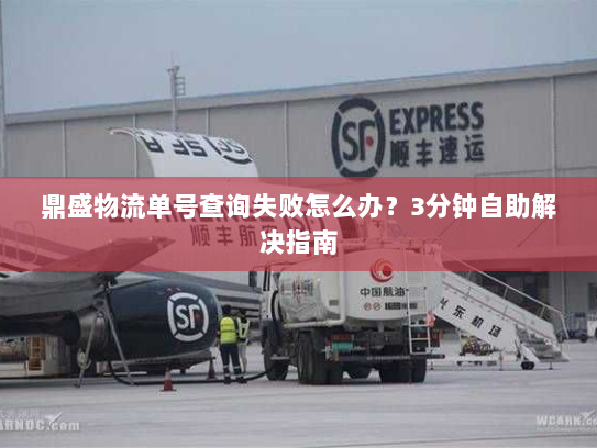 鼎盛物流单号查询失败怎么办?3分钟自助解决指南 鼎盛物流单号查询失败怎么办?3分钟自助解决指南