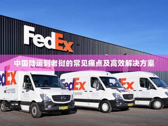 中国陆运到老挝的常见痛点及高效解决方案