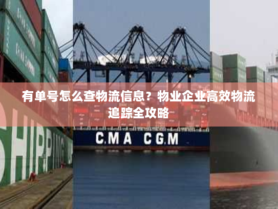 有单号怎么查物流信息?物业企业高效物流追踪全攻略 有单号怎么查物流信息?物业企业高效物流追踪全攻略