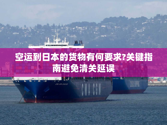 空运到日本的货物有何要求?关键指南避免清关延误 空运到日本的货物有何要求?关键指南避免清关延误