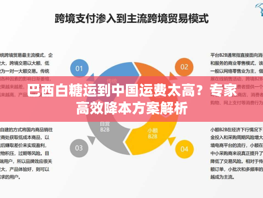 巴西白糖运到中国运费太高?专家高效降本方案解析 巴西白糖运到中国运费太高?专家高效降本方案解析