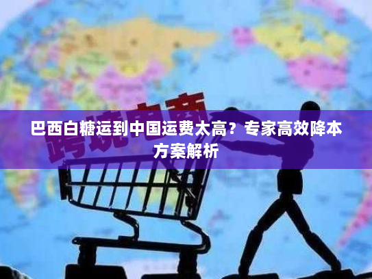 巴西白糖运到中国运费太高？专家高效降本方案解析