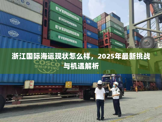 浙江国际海运现状怎么样，2025年最新挑战与机遇解析