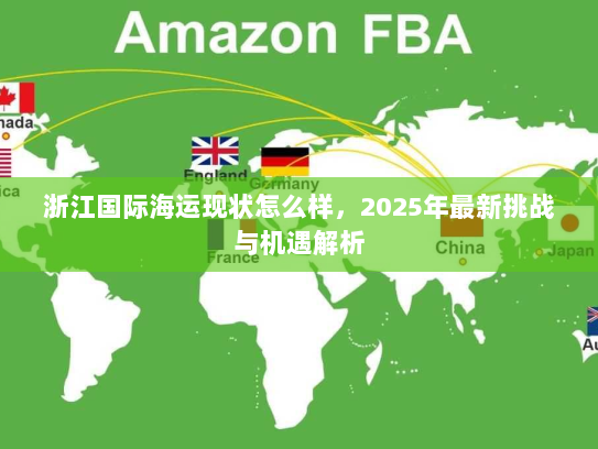 浙江国际海运现状怎么样，2025年最新挑战与机遇解析
