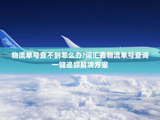 物流单号查不到怎么办?词汇鑫物流单号查询一键追踪解决方案 物流单号查不到怎么办?词汇鑫物流单号查询一键追踪解决方案