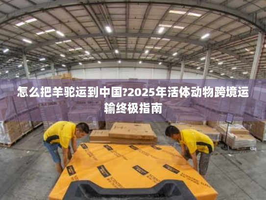 怎么把羊驼运到中国?2025年活体动物跨境运输终极指南