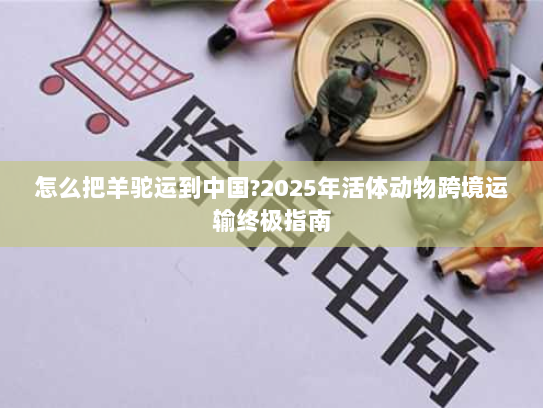 怎么把羊驼运到中国?2025年活体动物跨境运输终极指南