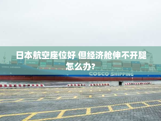 日本航空座位好 但经济舱伸不开腿怎么办?