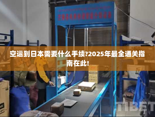 空运到日本需要什么手续?2025年最全通关指南在此!