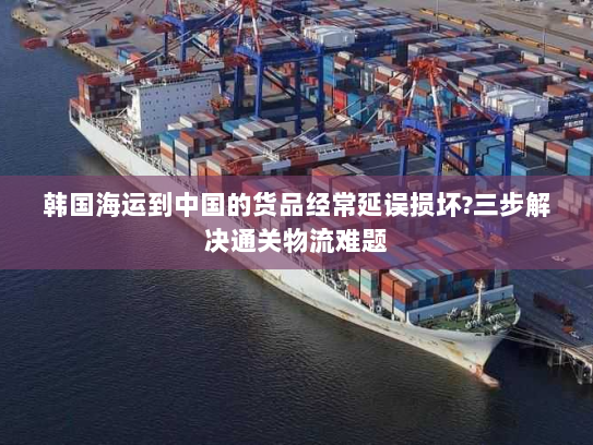 韩国海运到中国的货品经常延误损坏?三步解决通关物流难题