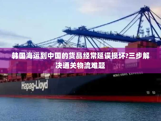 韩国海运到中国的货品经常延误损坏?三步解决通关物流难题 韩国海运到中国的货品经常延误损坏?三步解决通关物流难题