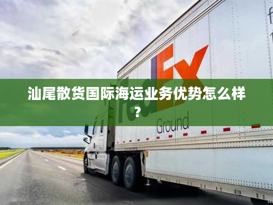 汕尾散货国际海运业务优势怎么样？