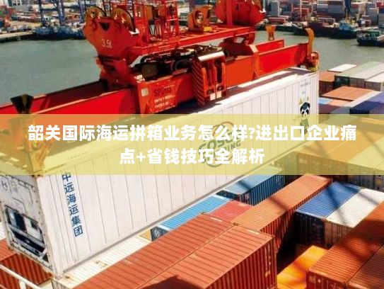 韶关国际海运拼箱业务怎么样?进出口企业痛点+省钱技巧全解析