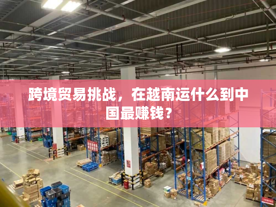 跨境贸易挑战，在越南运什么到中国最赚钱？