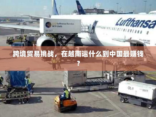 跨境贸易挑战,在越南运什么到中国最赚钱? 跨境贸易挑战,在越南运什么到中国最赚钱?