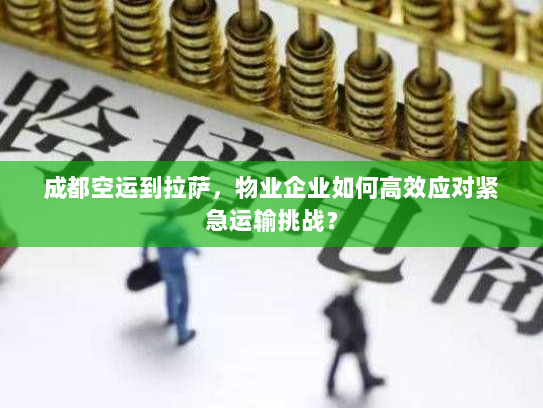 成都空运到拉萨，物业企业如何高效应对紧急运输挑战？