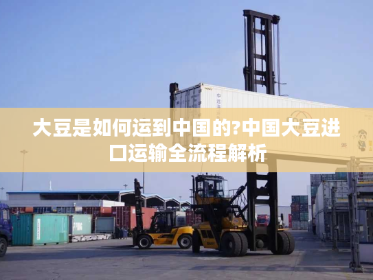 大豆是如何运到中国的?中国大豆进口运输全流程解析