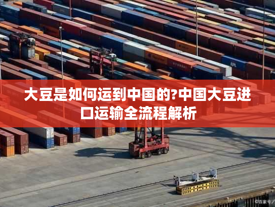 大豆是如何运到中国的?中国大豆进口运输全流程解析