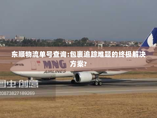 东顺物流单号查询:包裹追踪难题的终极解决方案?