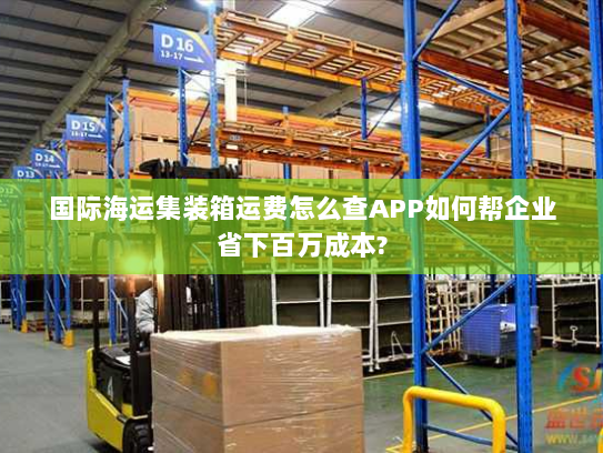 国际海运集装箱运费怎么查APP如何帮企业省下百万成本?