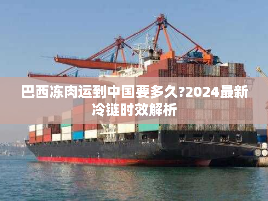 巴西冻肉运到中国要多久?2024最新冷链时效解析