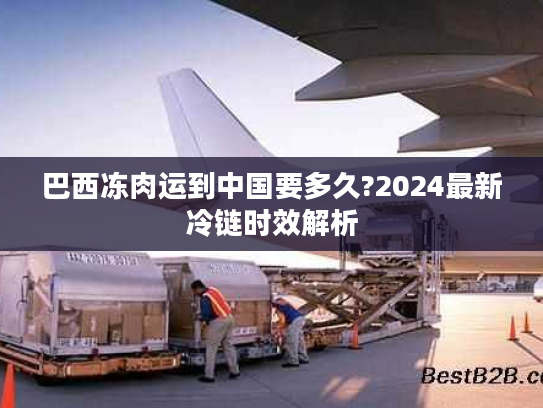 巴西冻肉运到中国要多久?2024最新冷链时效解析