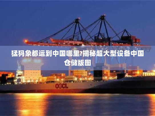 猛犸象都运到中国哪里?揭秘超大型设备中国仓储版图