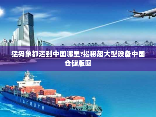 猛犸象都运到中国哪里?揭秘超大型设备中国仓储版图