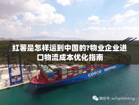 红薯是怎样运到中国的?物业企业进口物流成本优化指南 红薯是怎样运到中国的?物业企业进口物流成本优化指南