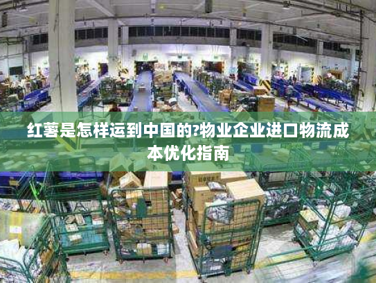 红薯是怎样运到中国的?物业企业进口物流成本优化指南 红薯是怎样运到中国的?物业企业进口物流成本优化指南