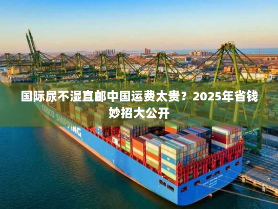 国际尿不湿直邮中国运费太贵？2025年省钱妙招大公开