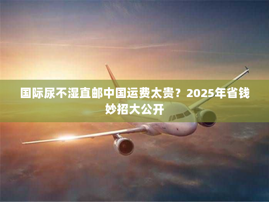 国际尿不湿直邮中国运费太贵?2025年省钱妙招大公开 国际尿不湿直邮中国运费太贵?2025年省钱妙招大公开