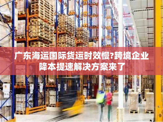 广东海运国际货运时效慢?跨境企业降本提速解决方案来了 广东海运国际货运时效慢?跨境企业降本提速解决方案来了