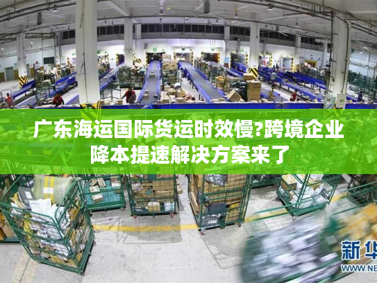 广东海运国际货运时效慢?跨境企业降本提速解决方案来了 广东海运国际货运时效慢?跨境企业降本提速解决方案来了