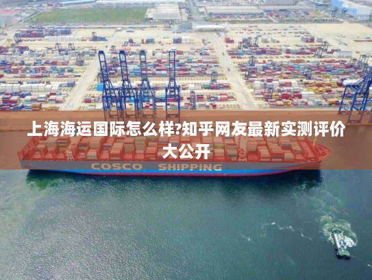 上海海运国际怎么样?知乎网友最新实测评价大公开