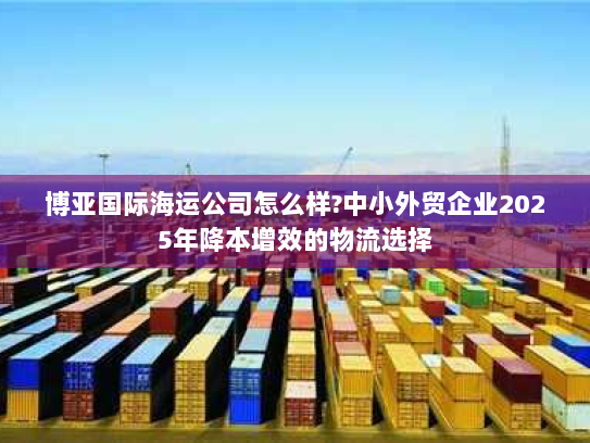 博亚国际海运公司怎么样?中小外贸企业2025年降本增效的物流选择 博亚国际海运公司怎么样?中小外贸企业2025年降本增效的物流选择