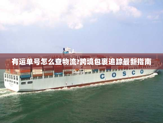 有运单号怎么查物流?跨境包裹追踪最新指南